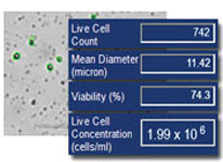 Run Cellometer software to obtain cell concentration and viability automatically