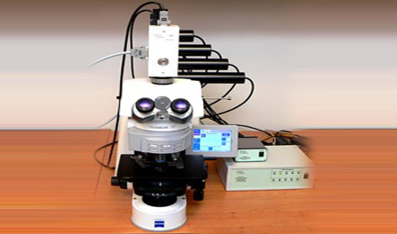 Biogentek.com : Fluorescent Kinetic Microscope